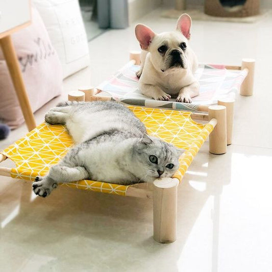 Gato y perro descansando sobre cama elevada de lona para mascotas pequeñas – diseño cómodo y ventilado