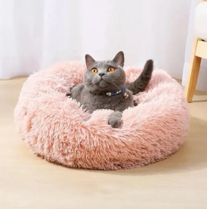 Mascota relajada en cama antiestrés para reducir ansiedad y estrés