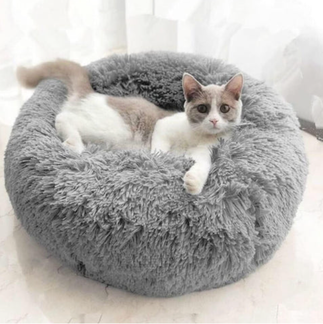 Gato acostado en cama suave para mascotas pequeñas y medianas