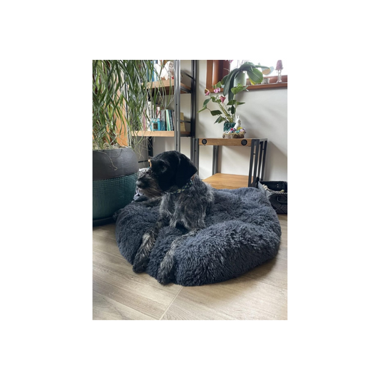 Perro grande y adulto recostado en cama XL antiestrés de Glamy Mascotas, con fondo cálido y acogedor