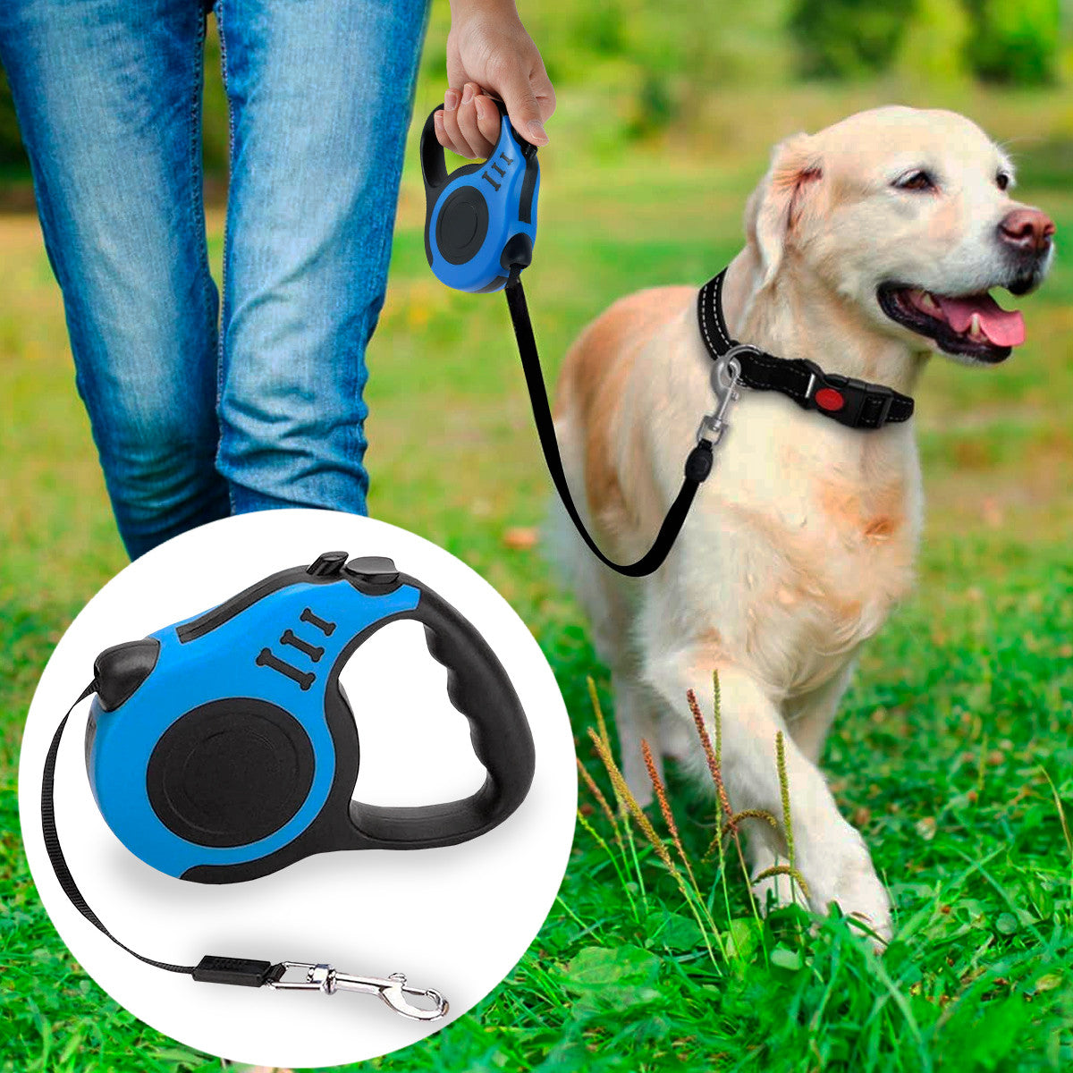 Momento de paseo seguro con mascota usando correa Glamy Mascotas