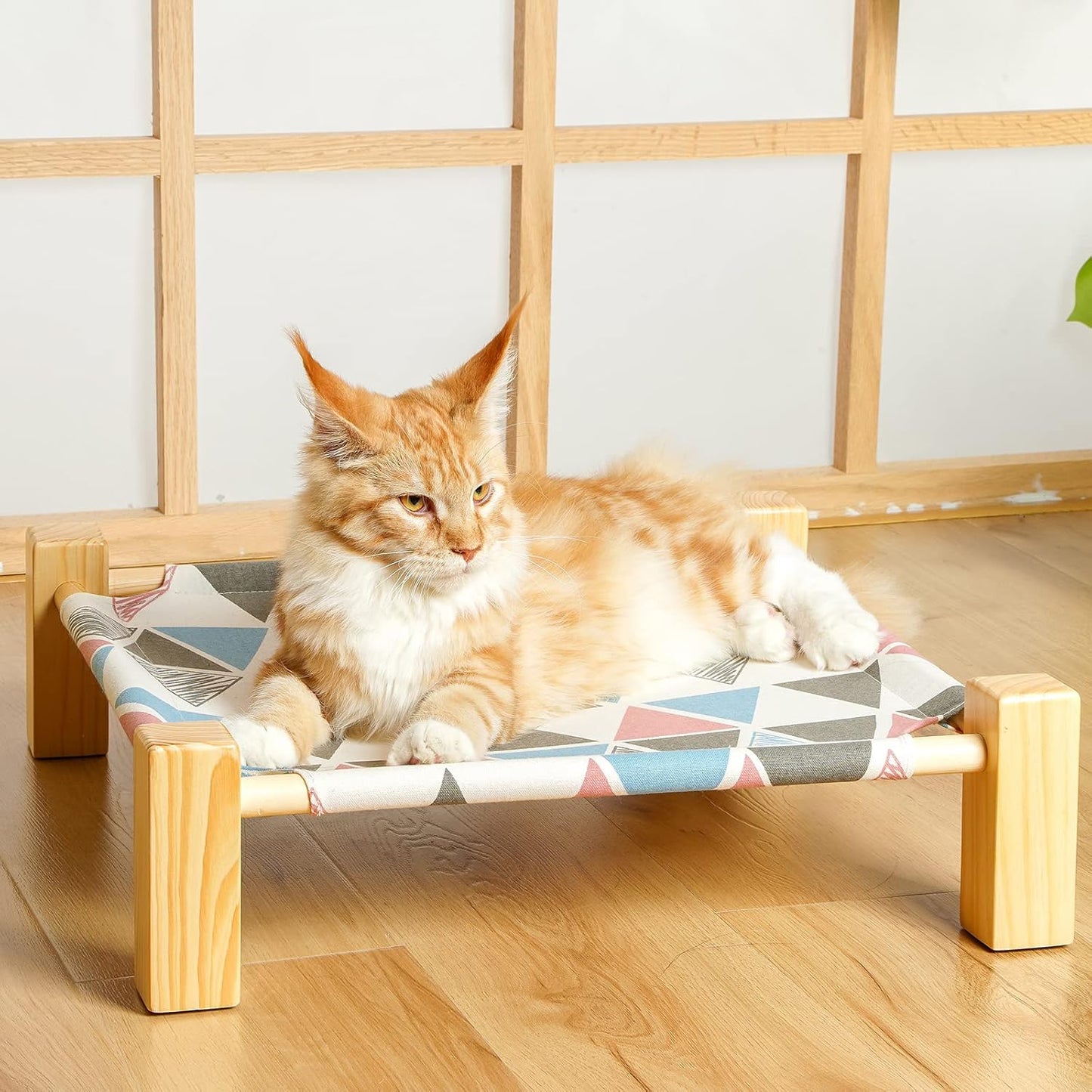 Gato feliz en cama elevada