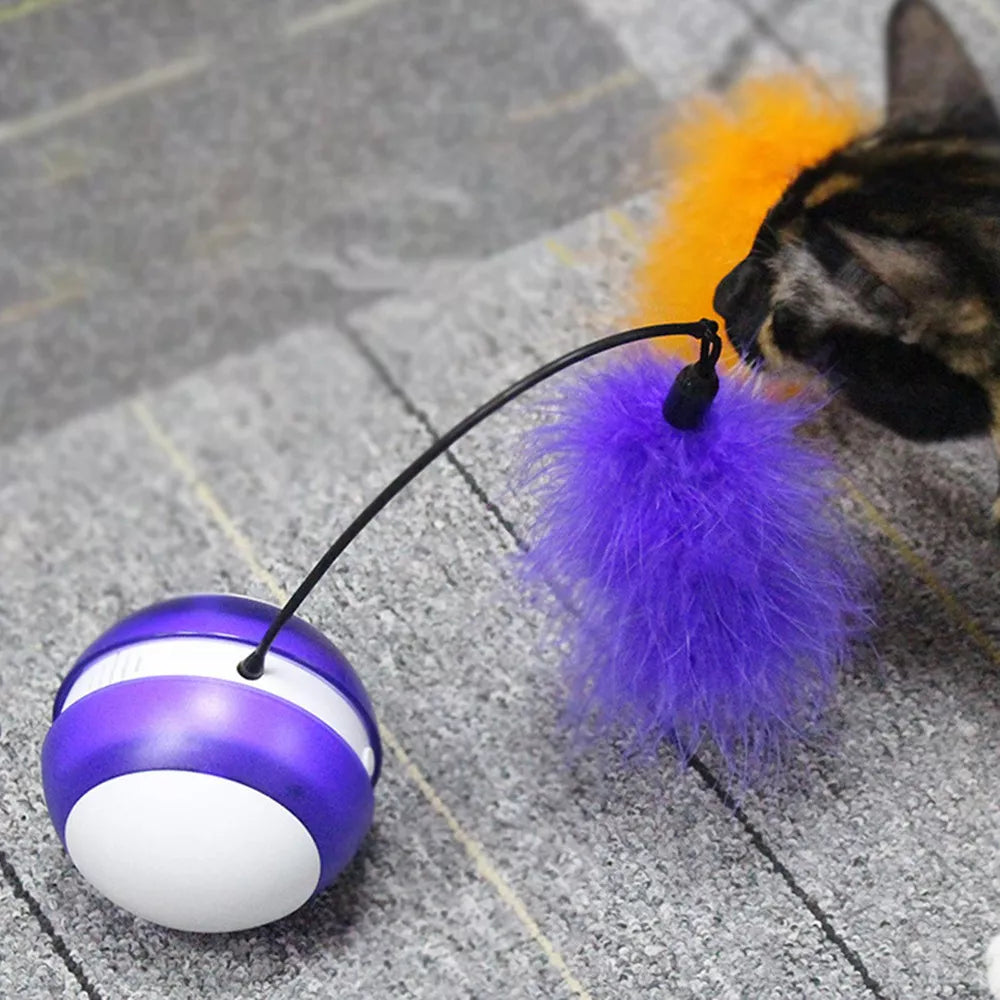 gato jugando con bola LED automática e inteligente