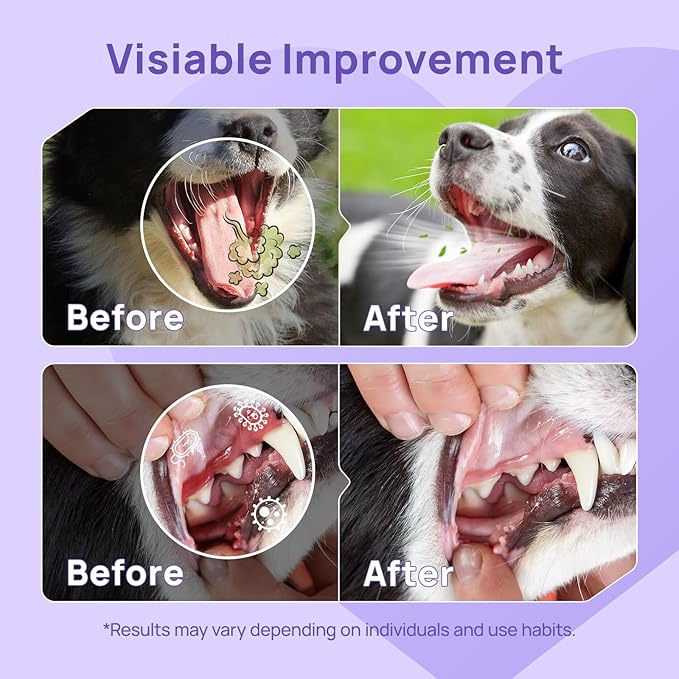 perro con dientes limpios tras usar spray dental Happy Pets