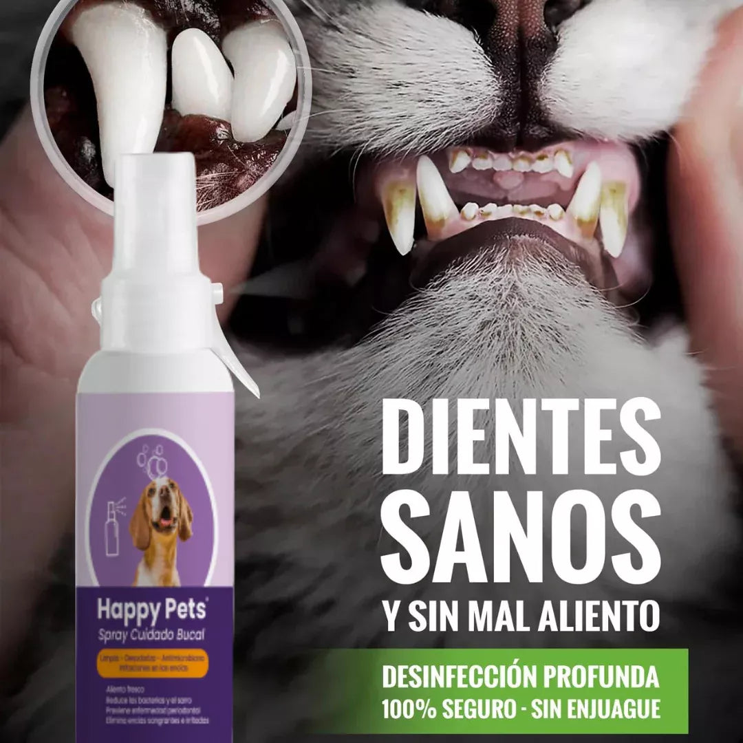 Dientes sanos y sin mal aliento gracias al spray bucal para perros y gatos