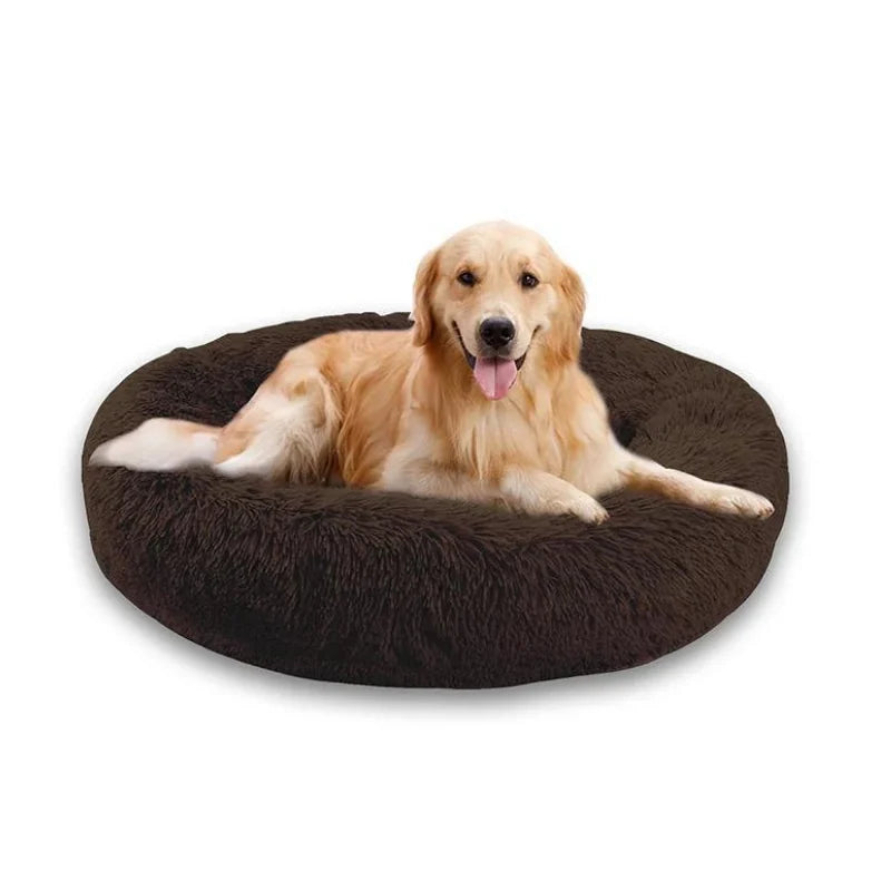 Perro grande dormido plácidamente en cama anti ansiedad redonda XL, color palo de rosa