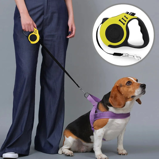 Persona paseando a su perro con correa extensible y retráctil