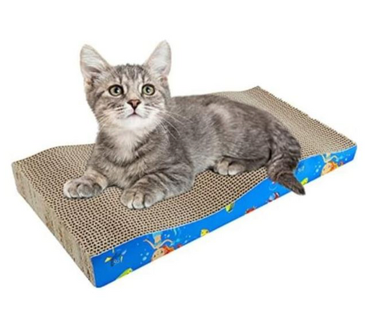 Michi usando rascador ecológico mientras se relaja.