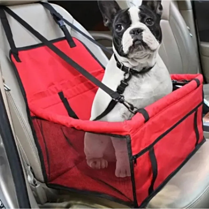 Perro pequeño sentado dentro de asiento portátil para mascotas en un auto