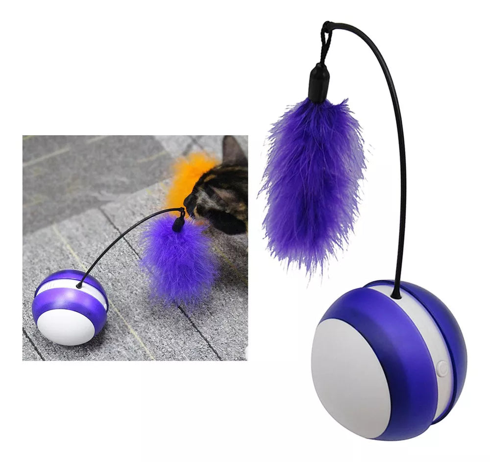 Bola interactivo para gatos LED recargable USB