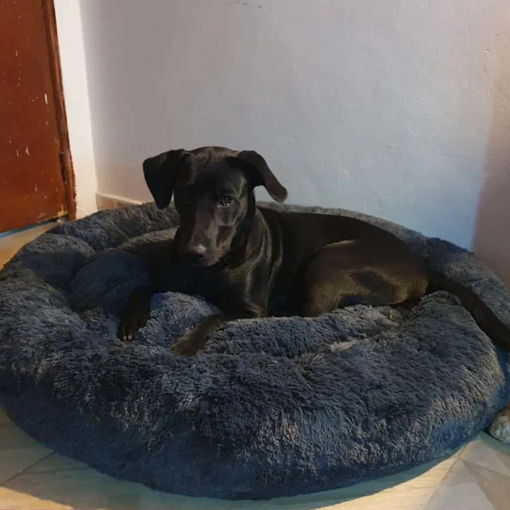 Cama Anti Antiestres Talla M para perros y gatos en felpa suave color azul oscuro.