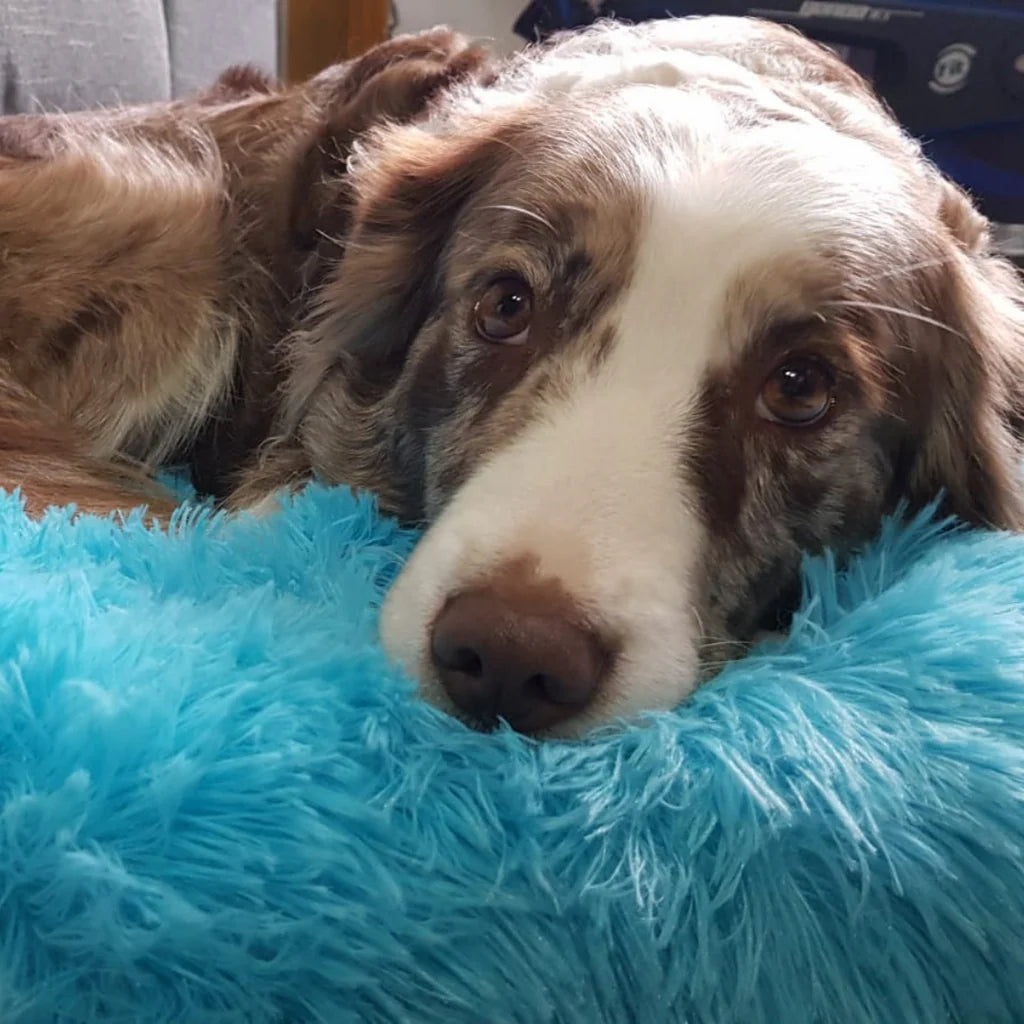 cama tipo dona, suave para perros grandes