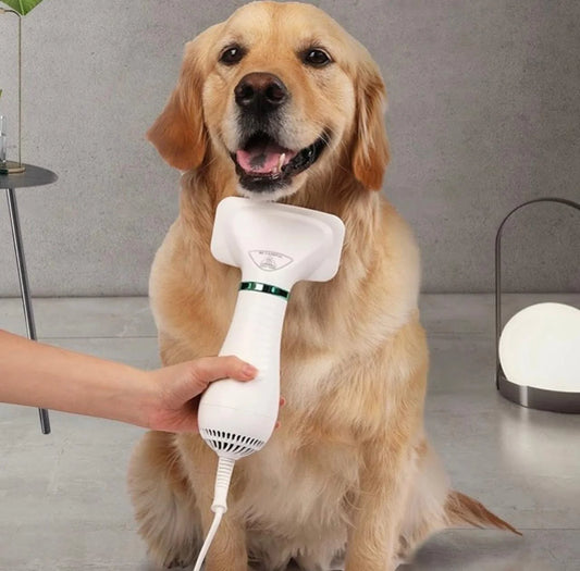 perro grande siendo cepillado y secado con cepillo secador