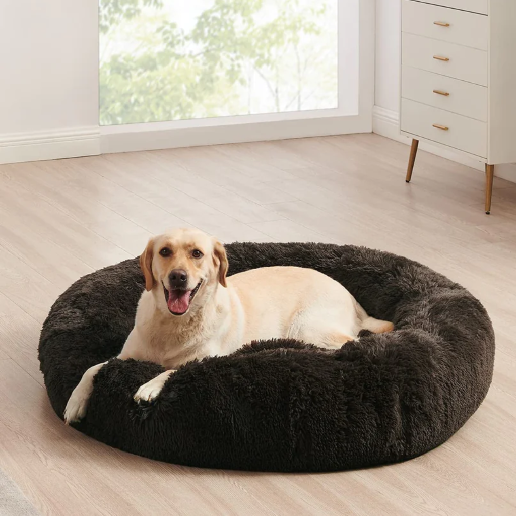 Cama anti ansiedad XL colocada en sala moderna, perfecta para mascotas grandes y cómodas