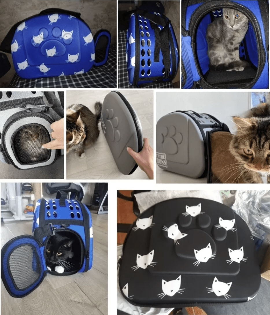 Gatos dentro del cargador EVA tipo cápsula listo para viajar