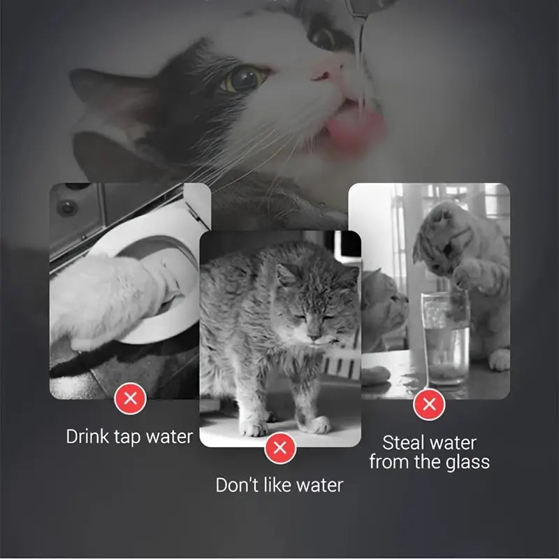 Fuente de agua para prevenir enfermedades en gatos y perros