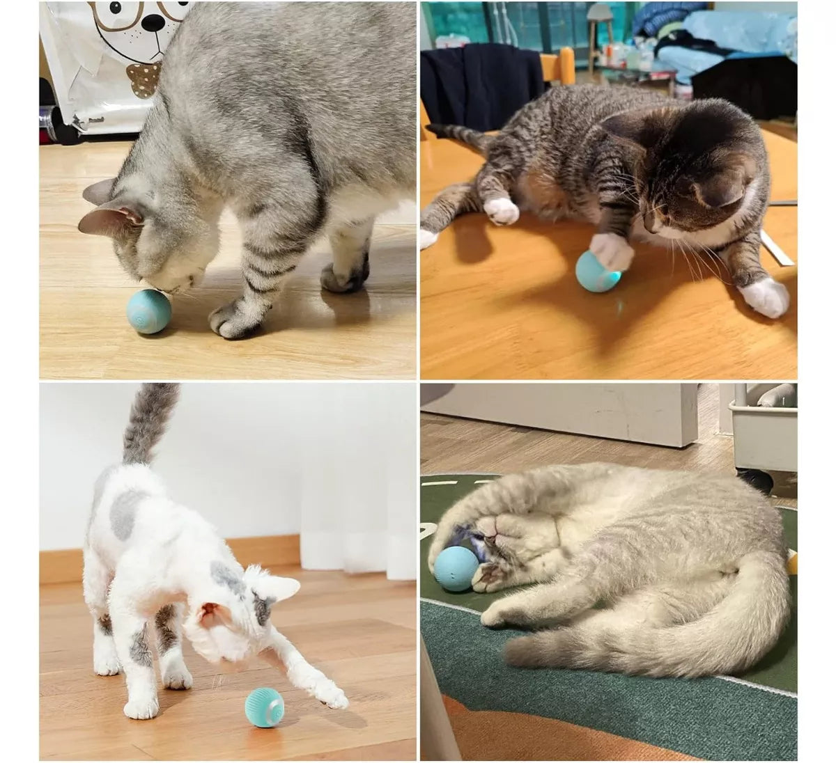 Juguete inteligente pelota automática para mascotas