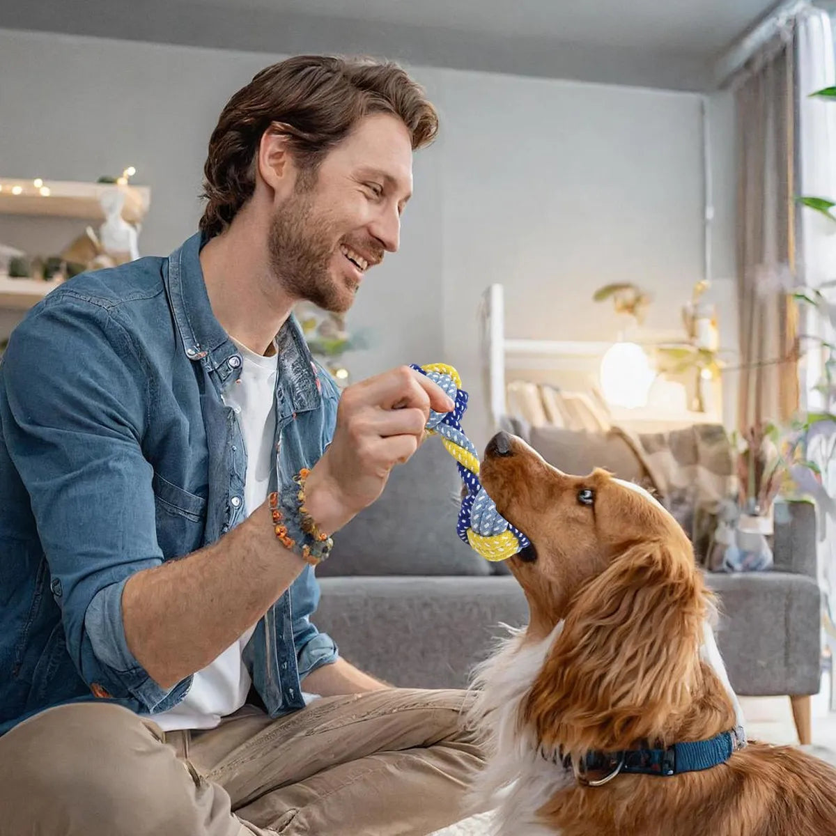 Perro interactuando con juguete de cuerda en casa
