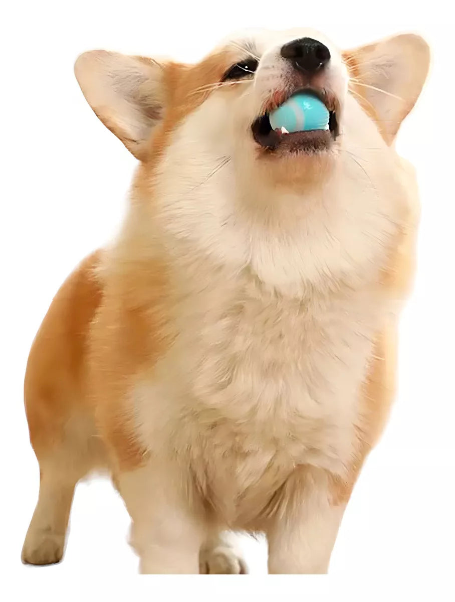 Pelota de silicona para mascotas, resistente a mordidas