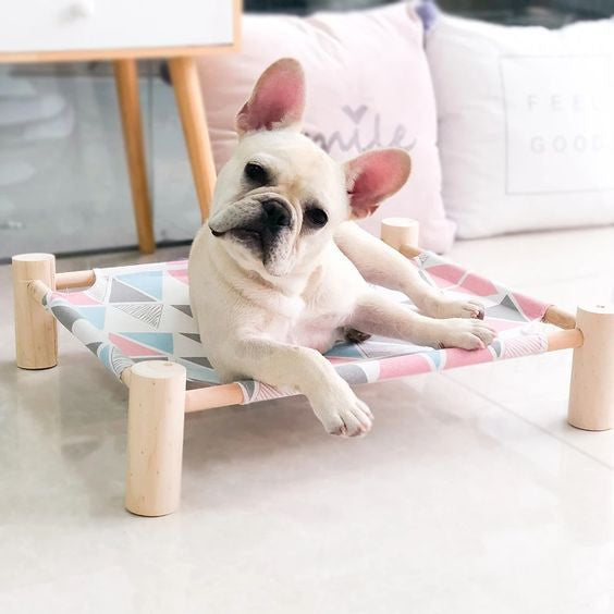 perro en cama hamaca elevada