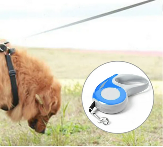 Perro grande usando la correa retráctil durante un paseo al aire libre