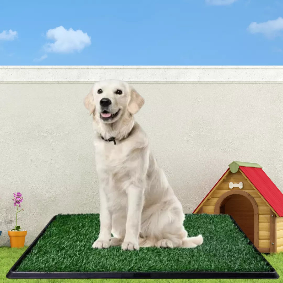 Tapete de Entrenamiento en casa para perros de todas las edades