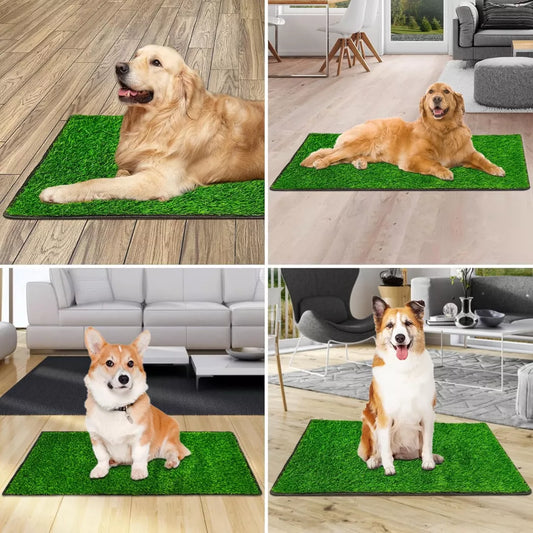 Tapete de entrenamiento para todas las razas