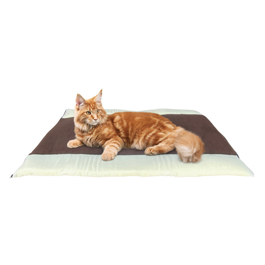 cama para gatos y perros pequeños
