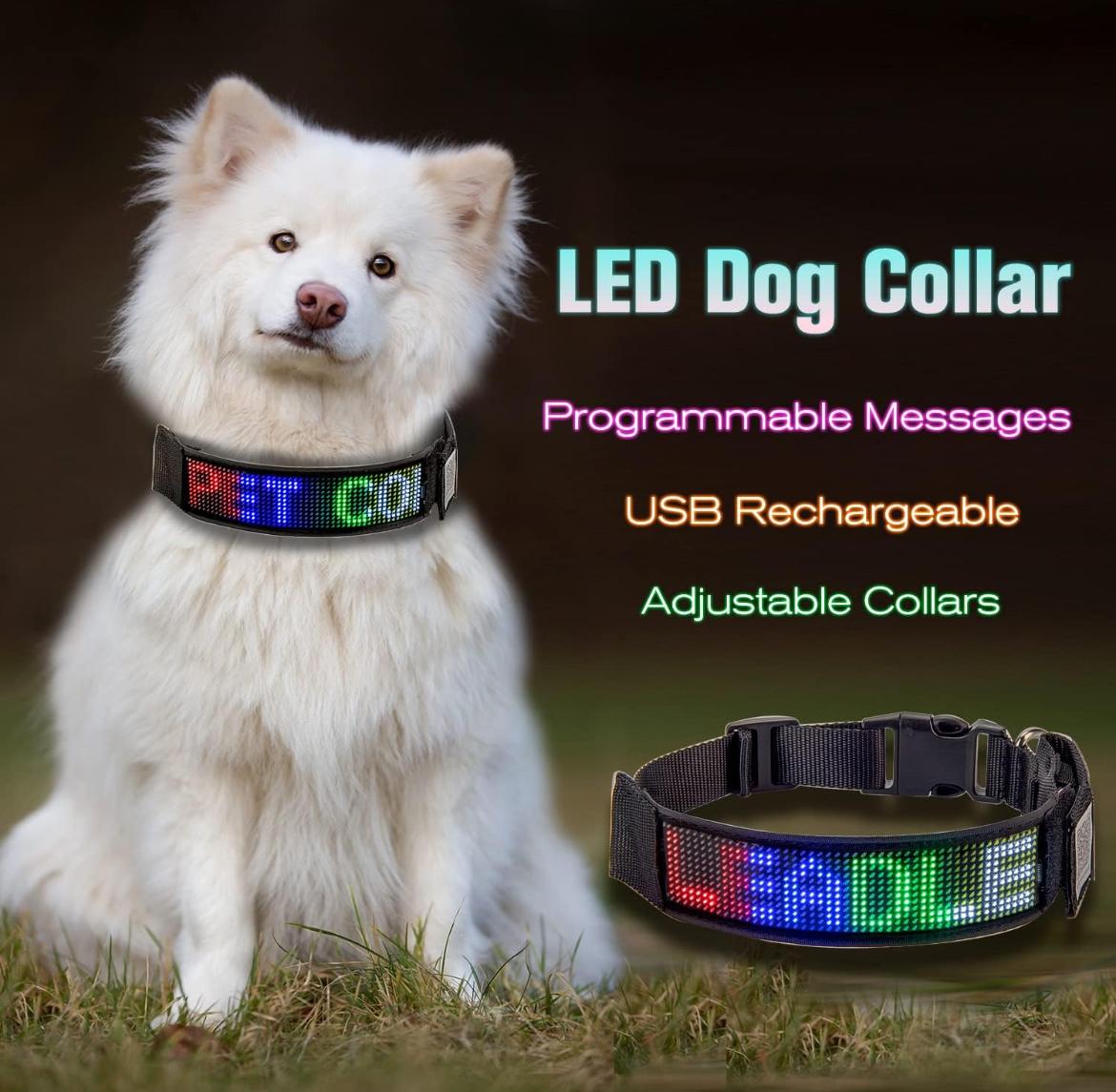 Collar LED ajustable en el cuello de un perro mediano al aire libre