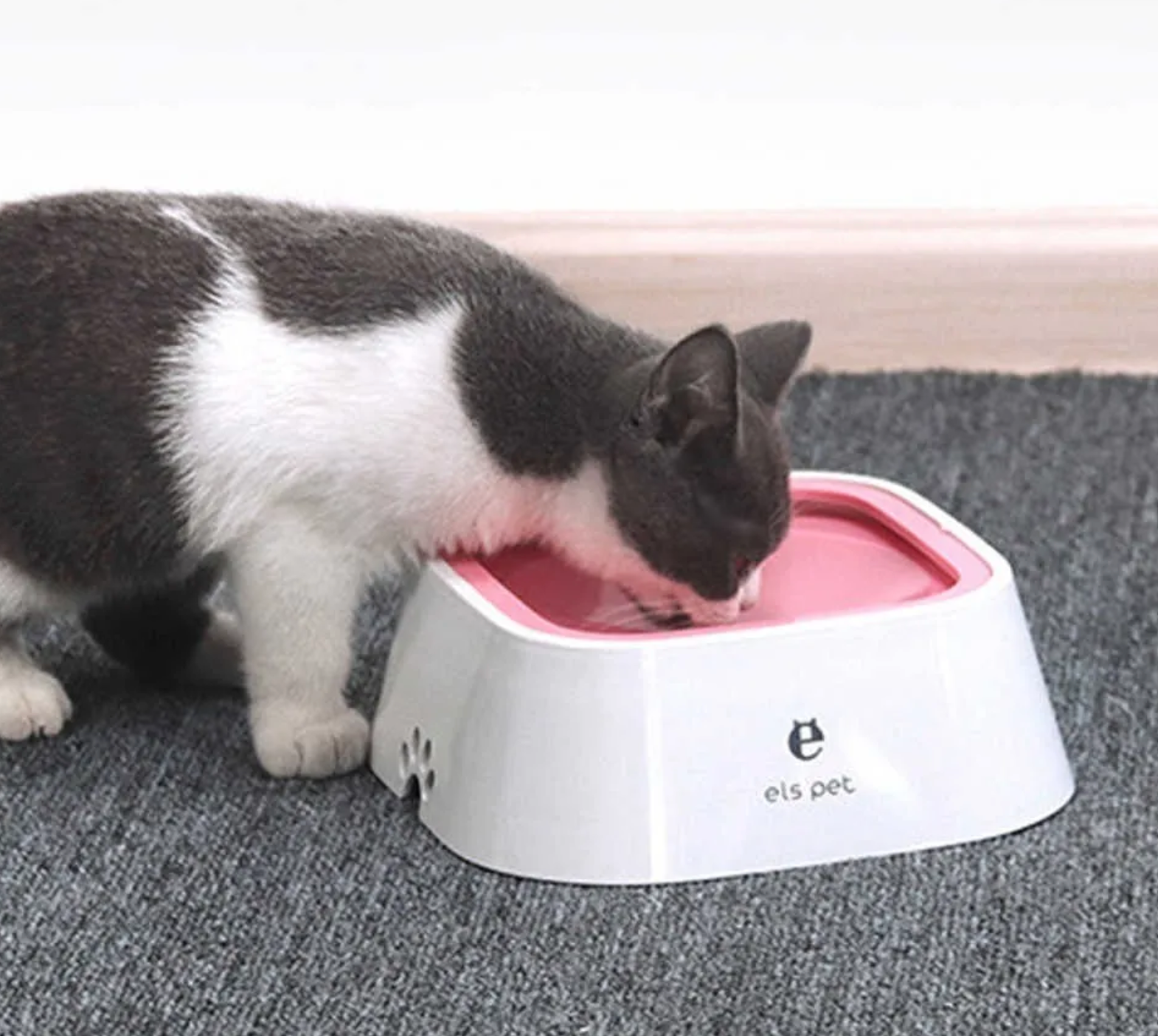 Gato bebiendo en bebedero antiderrames con diseño portátil para el hogar