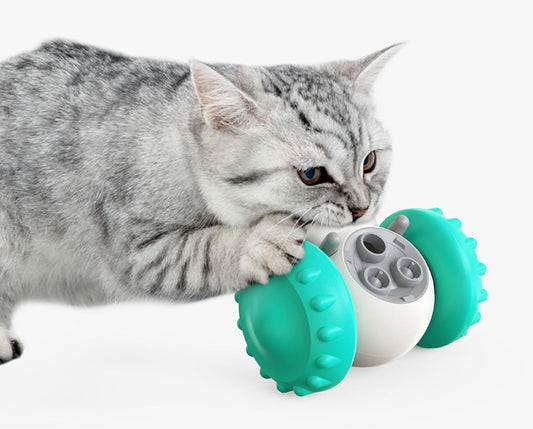 Gato jugando con dispensador de alimento interactivo mientras intenta sacar croquetas
