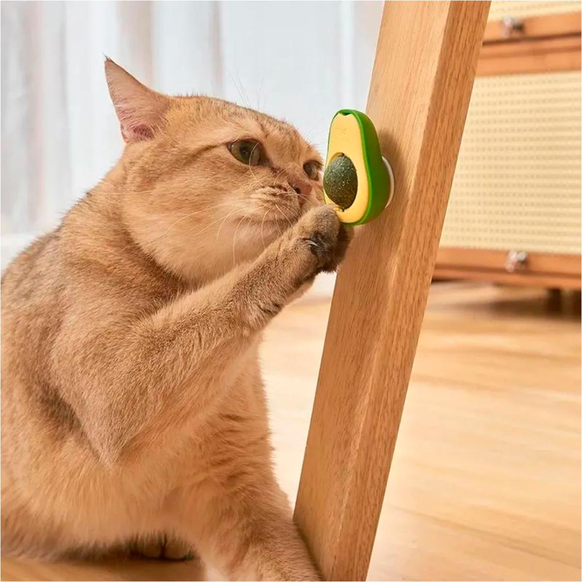 Juguete pegable para gatos con hierba gatuna