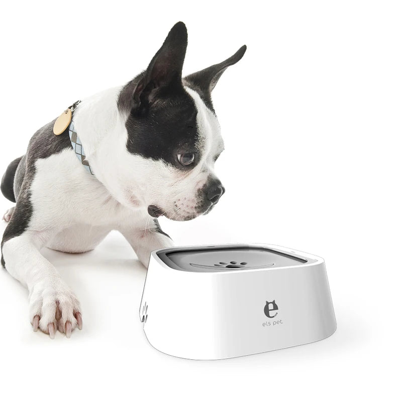 Mascota hidratándose en cuenco con control de flujo y diseño sin salpicaduras