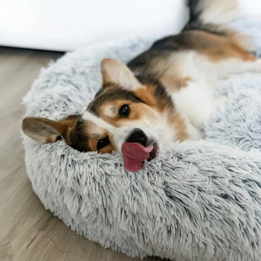 Perro de raza mediana descansando plácidamente en cama tipo dona talla M, color rosado.