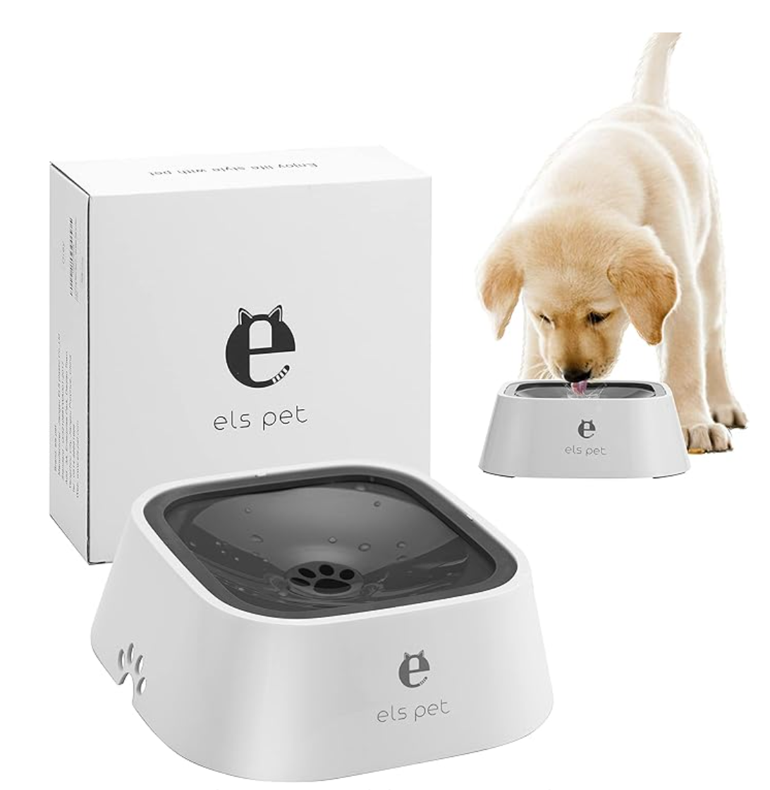 Perro pequeño usando bebedero lento con tapa flotante y base firme
