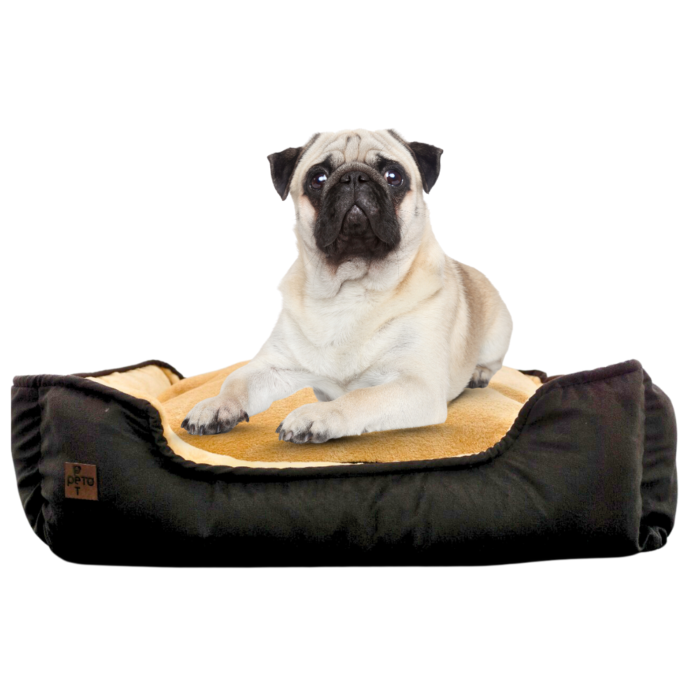 Perro mediano descansando en cama rectangular antirasguños de tela ovejera amarilla.