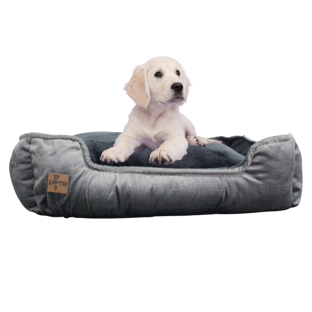Perro mediano descansando en cama rectangular antirasguños de tela ovejera gris oscuro