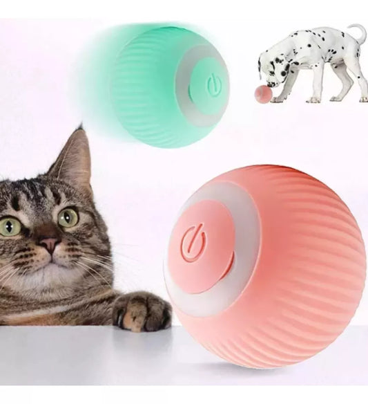 Tamaño y diseño compacto de pelota interactiva para perros y gatos