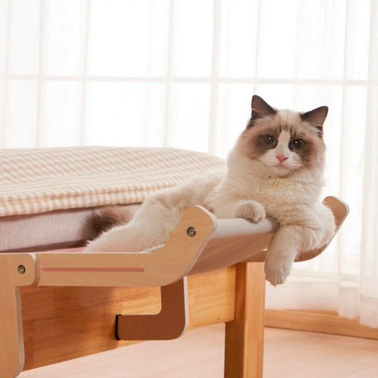 Gato disfrutando de su cama ajustable 