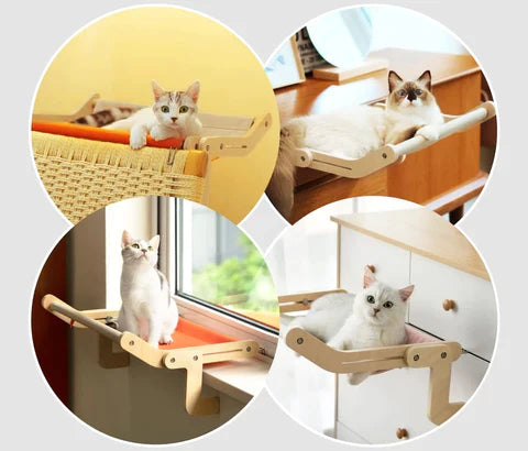 Flexicama para gatos con felino durmiendo plácidamente en su superficie de lona
