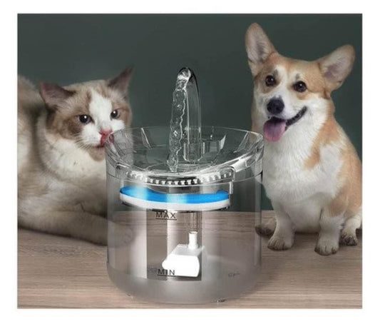 Fuente de agua transparente e inteligente para gatos y perros