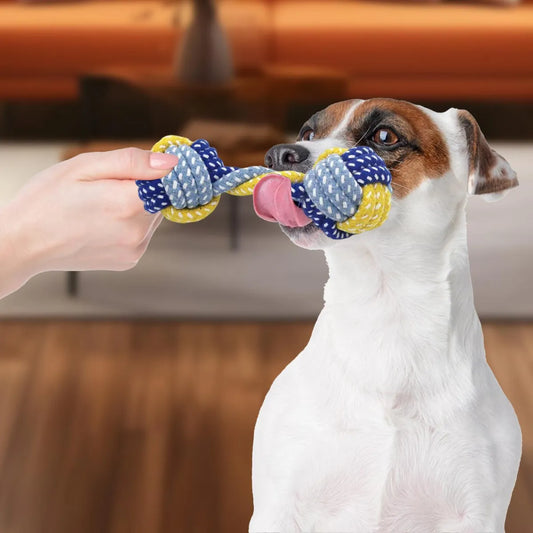 perro grande mordiendo juguete de cuerda con doble nudo durante el juego