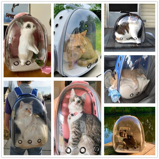 mascota viajando cómoda en morral transportador con ventilación