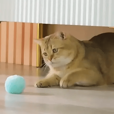 Pelota para mascotas girando en el suelo con luces activas