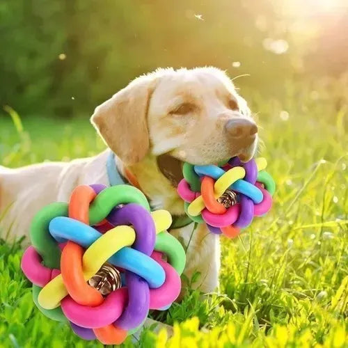 Cachorro jugando con pelota de goma nudo sonajero en el piso
