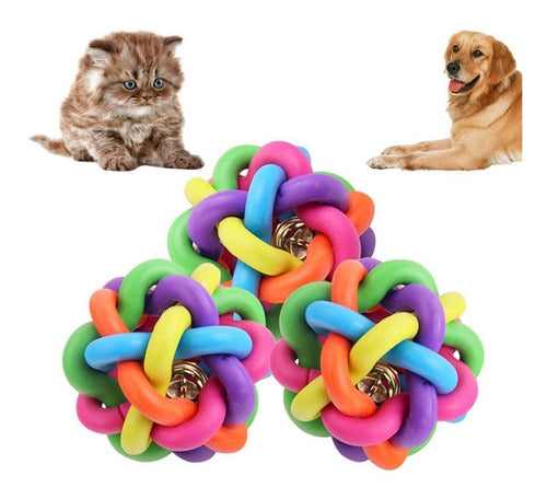 Mascota interactuando con pelota de colores vibrantes y textura mordible
