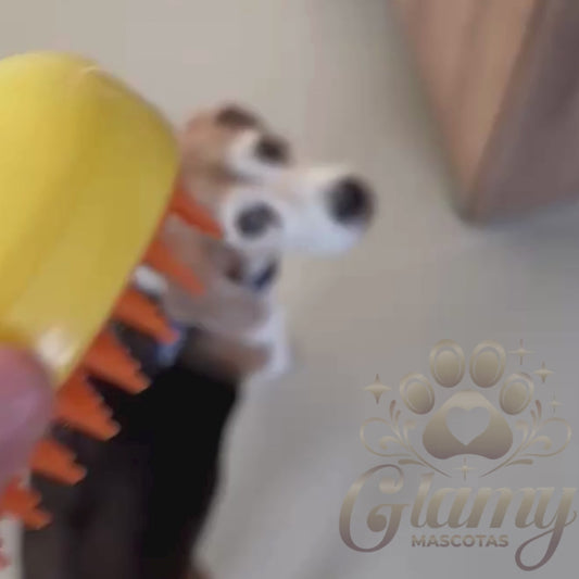 Cepillo Vaporizador Revolucionado 3 en 1 para Perros y Gatos Glamy