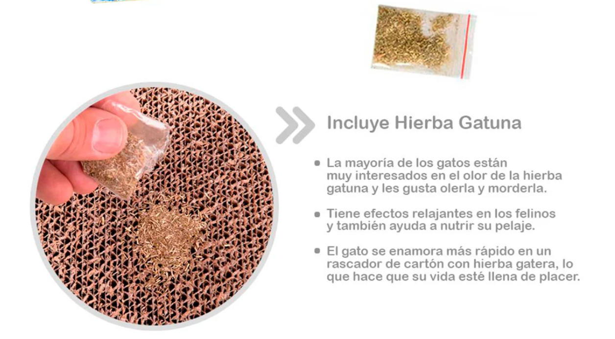 Rascador de cartón ecológico para gatos en forma de onda, con hierba gatuna
