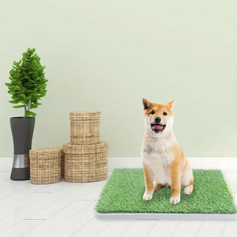Césped sintético para perros